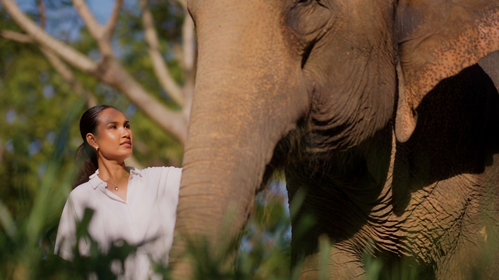 GR Tongsai Bay Samui Elephant.jpg